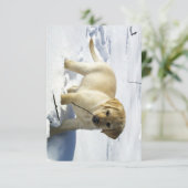 LR gele labpupil in sneeuw Bedankkaart (Staand voorkant)