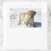 LR gele labpupil in sneeuw Rechthoekige Sticker (Tas)