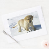 LR gele labpupil in sneeuw Rechthoekige Sticker (Envelop)
