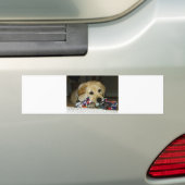 LR gele puppy met speelgoed Bumpersticker (Op auto)