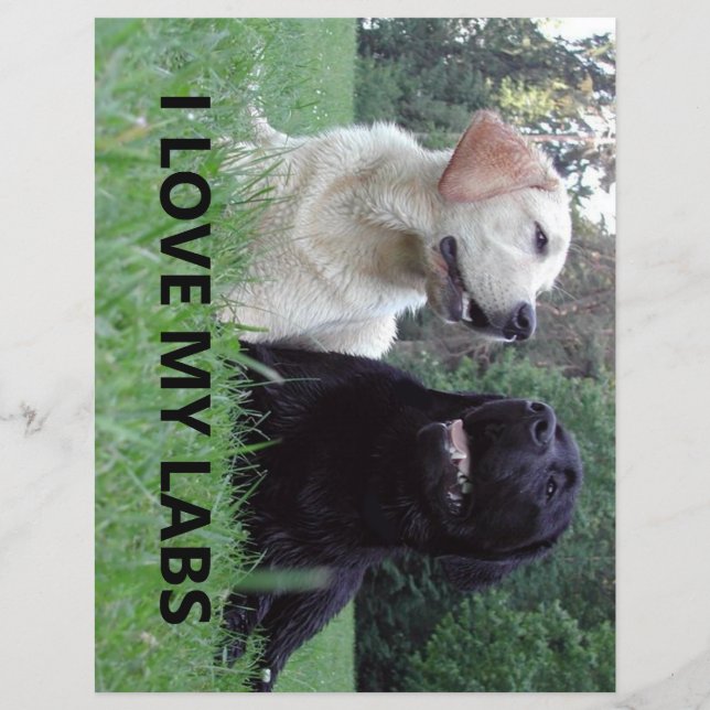 LR I Love My Labs with afbeelding (Voorkant)