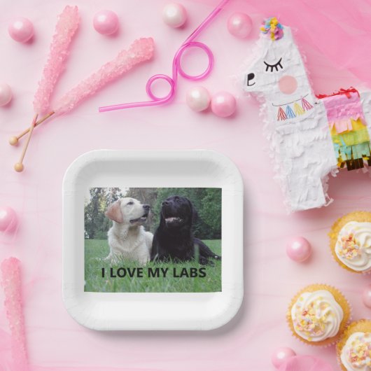 LR I Love My Labs with afbeelding Papieren Bordje (Feest)