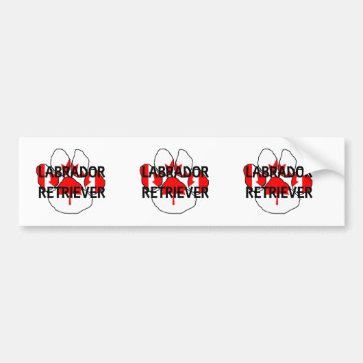 LR-naam vlaggenwet Bumpersticker (Voorkant)