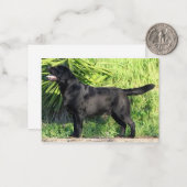 LR zwart lab vol Notitiekaartje (Voorkant / Achterkant in situ)