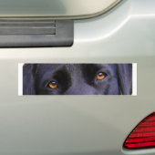 LR zwarte ogen Bumpersticker (Op auto)