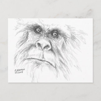 LTB Postcards Briefkaart