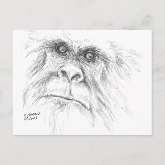 LTB Postcards Briefkaart (Voorkant)