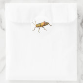 Lubber Grasshopper Sticker (Tas)