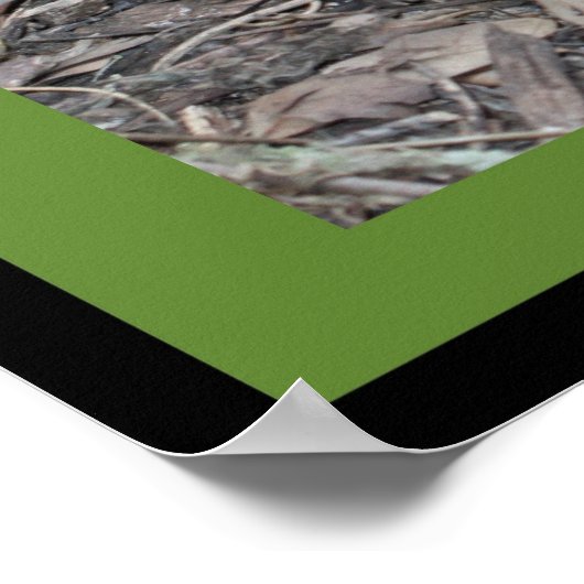 Luc 10:19 Poster des Écritures (Version B) (Coin)