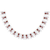 Luchadores Vlaggetjes (Alle)