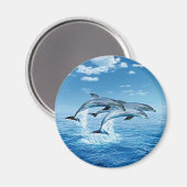 Lucht Dolphins Magnet Magneet (Voorkant / Achterkant)