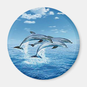Lucht Dolphins Magnet Magneet