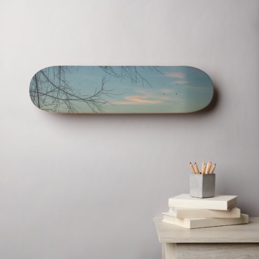 Lucht & gemak skateboard (Muurkunst (Horizontaal))