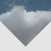 Lucht Tissuepapier (Detail)
