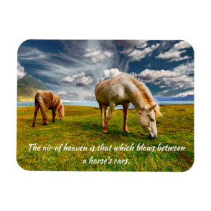 Lucht van Heaven Horse Quote Magnet Magneet