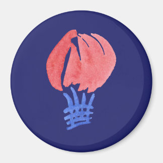 Luchtballon Grote ronde magneet