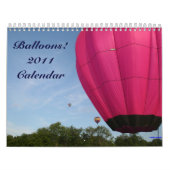 Luchtballonnen!!!!! Agenda 2011 Kalender (Hoes)