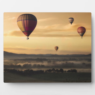Luchtballonnen Fotoplaat