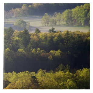Luchtbeeld van bos in Cades Cove, Great Smoky Tegeltje