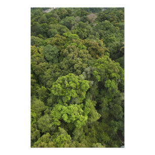 Luchtbeeld van regenwoud. Iwokrama-reservaat, Foto Afdruk