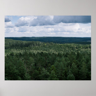 Luchtgroen Noordse Bos Landschapsfotografie Poster