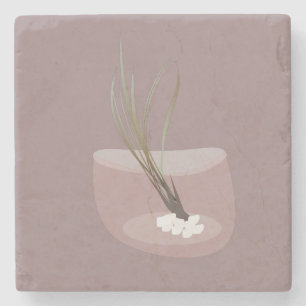 Luchtplant Tillandsia Planten Terrarium Blush Roze Stenen Onderzetter