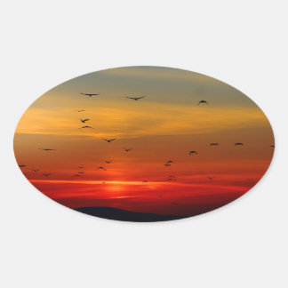 Luchtruim, zonsondergang, vogels, mooie foto ovale sticker
