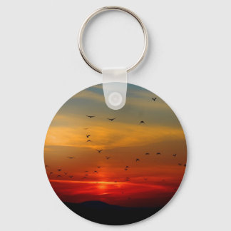Luchtruim, zonsondergang, vogels, mooie foto sleutelhanger