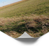 Luchtturbines Poster (Hoek)