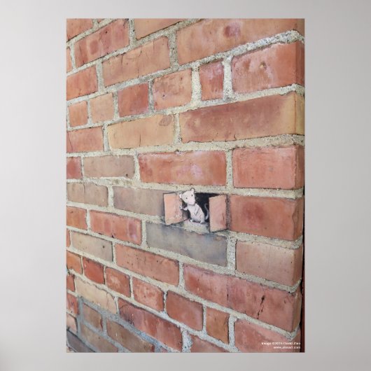 Luchtvaartdag Poster (Voorkant)