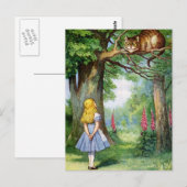 LUCHTVAARTMAATSCHAPPIJEN EN DE KATTING VAN CHESHIR BRIEFKAART (Voorkant / Achterkant)