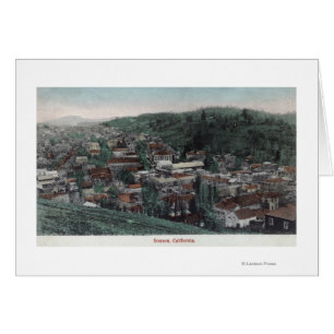 Luchtvaartstation van de stad # 2Sonora, CA