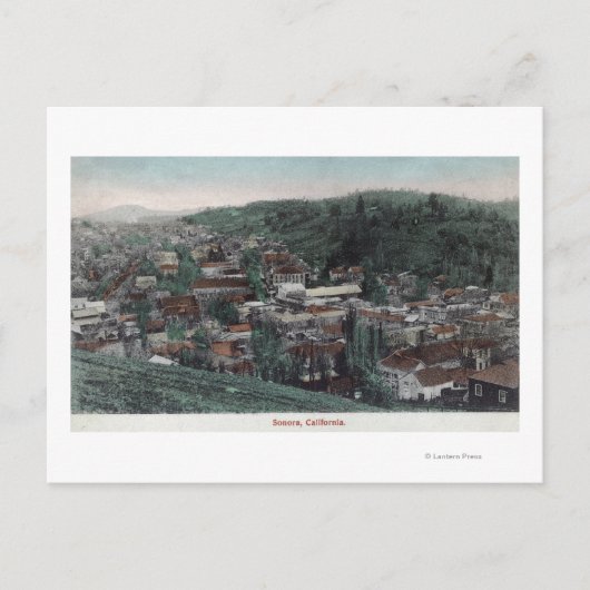 Luchtvaartstation van de stad # 2Sonora, CA Briefkaart (Voorkant)