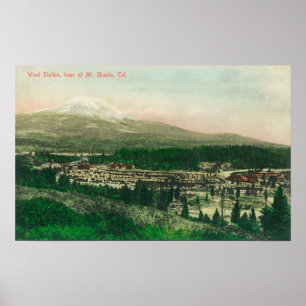 Luchtvaartstation van het station van Weed te Mt.  Poster