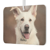 Luchtverfrisser | Aangepaste foto, tekst, Logo (Links)