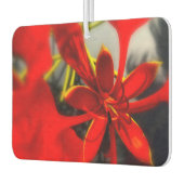 Luchtverfrisser Bloem (Links)