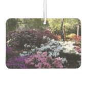 luchtverfrisser voor bossen (Achterkant)