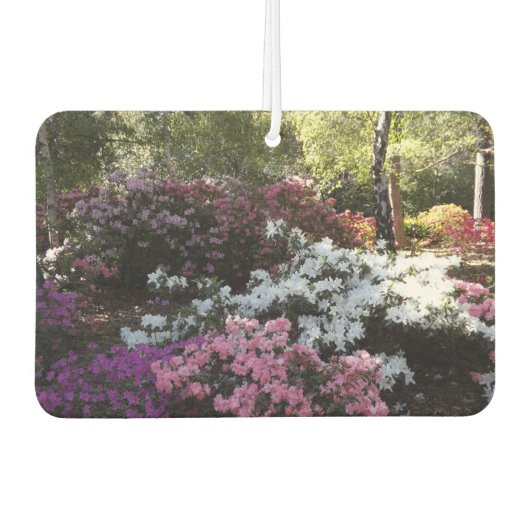 luchtverfrisser voor bossen (Voorkant)