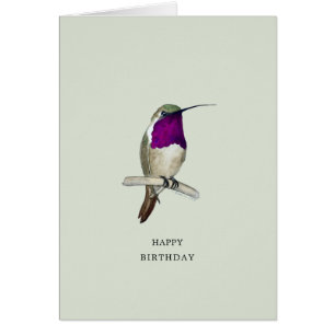 Lucifer Hummingbird Happy Birthday Kaart