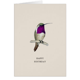 Lucifer Hummingbird Happy Birthday Kaart