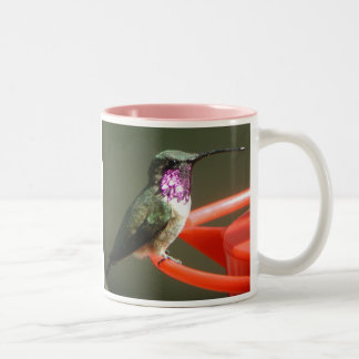Lucifer Hummingbird Mok, met de juiste bestemming Tweekleurige Koffiemok