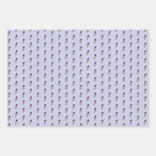 Lucifer Hummingbird Pattern Wrapping Paper Sheets (Voorkant 2)