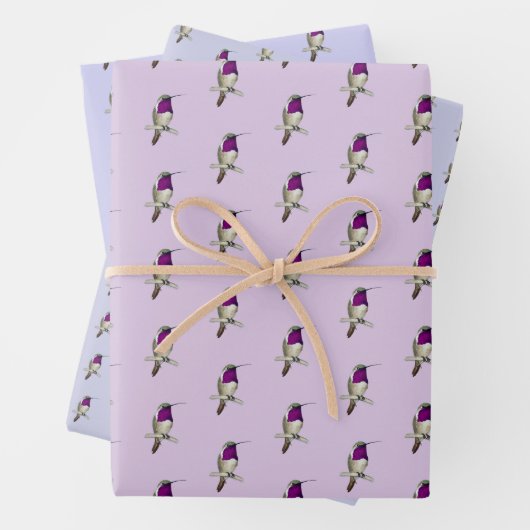 Lucifer Hummingbird Pattern Wrapping Paper Sheets (In situ)