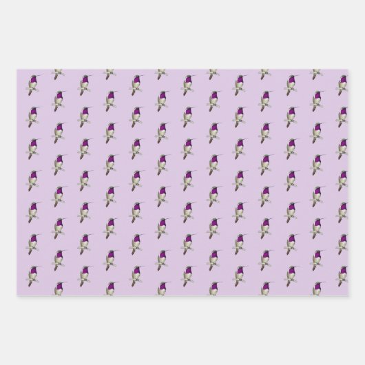 Lucifer Hummingbird Pattern Wrapping Paper Sheets (Voorkant)