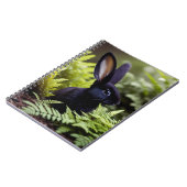 Lucifer Le Petit Lapin Noir, Livre De Notes (Côté gauche)