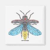 Lucioles (blanc) - Magnet (Devant)