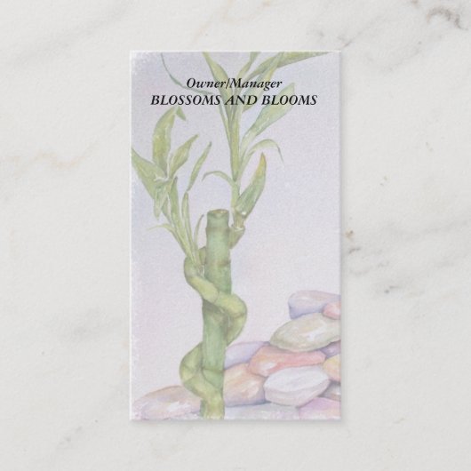 LUCKY BAMBOO  VISITEKAARTJES (Voorkant)