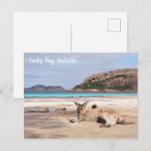 Lucky Bay Beach Kangaroo, Australië Briefkaart (Voorkant / Achterkant)