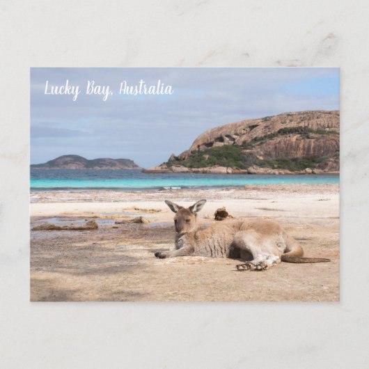 Lucky Bay Beach Kangaroo, Australië Briefkaart (Voorkant)