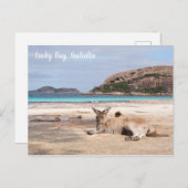 Lucky Bay Beach Kangaroo, Australie Carte postale (Devant / Derrière)